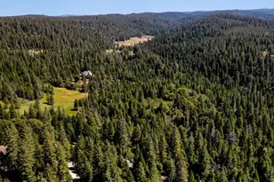 18980 Circle View Dr, Pioneer, CA 95666 - Photo 53