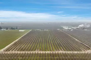 23346 S Frederick Rd, Ripon, CA 95366 - Photo 89