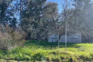 3263 County Road 88, Dunnigan, CA 95937 - Photo 3