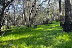 3263 County Road 88, Dunnigan, CA 95937 - Photo 7
