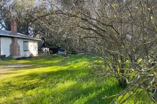 3263 County Road 88, Dunnigan, CA 95937 - Photo 1
