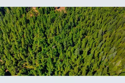 21885 Skypine Lakeview Lane, Nevada City, CA 95959 - Photo 23