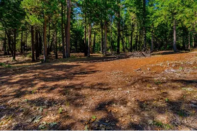 21885 Skypine Lakeview Lane, Nevada City, CA 95959 - Photo 45