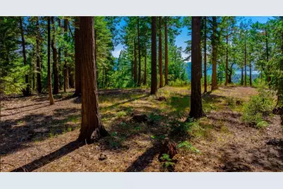 21885 Skypine Lakeview Lane, Nevada City, CA 95959 - Photo 11