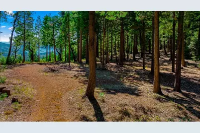 21885 Skypine Lakeview Lane, Nevada City, CA 95959 - Photo 5