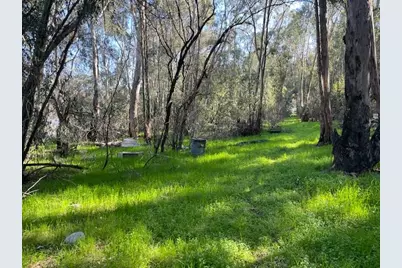 3263 County Road 88, Dunnigan, CA 95937 - Photo 7