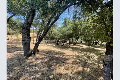 295 Mary Belle Way, Angels Camp, CA 95222 - Photo 5