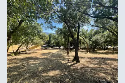 295 Mary Belle Way, Angels Camp, CA 95222 - Photo 1