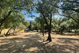 295 Marybelle Way, Angels Camp, CA 95222 - Photo 1