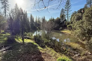 21614 Rockaway Rd, Nevada City, CA 95959 - Photo 5