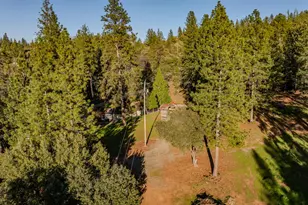 17630 Ridge Rd, Pine Grove, CA 95665 - Photo 77