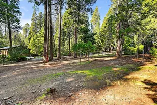 26151 Buckhorn Ridge Rd, Pioneer, CA 95666 - Photo 41
