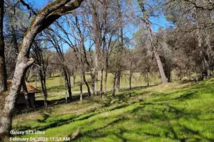 21540 Spring Ranches Rd, Grass Valley, CA 95949 - Photo 47