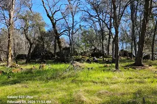 21540 Spring Ranches Rd, Grass Valley, CA 95949 - Photo 49