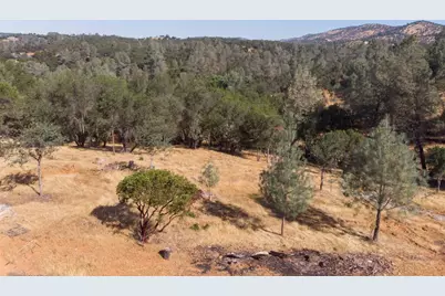 28 Black Creek Drive, Copperopolis, CA 95228 - Photo 11