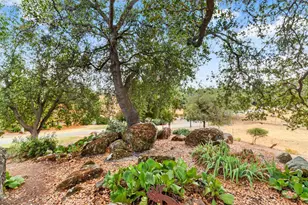 8885 Angeli Ln, Loomis, CA 95650 - Photo 41