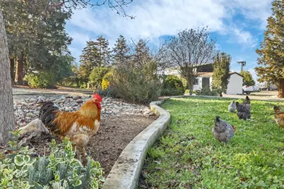 21219 Naglee Road, Tracy, CA 95304 - Photo 57