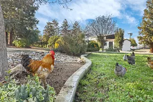 21219 Naglee Rd, Tracy, CA 95304 - Photo 57