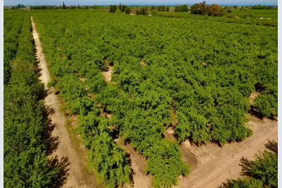 0 Blue Gum Avenue, Modesto, CA 95358 - Photo 5