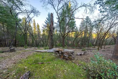 1355 E Weimar Cross Road, Colfax, CA 95713 - Photo 7