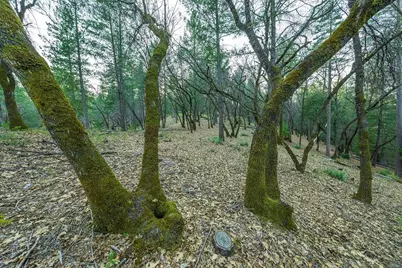 1355 E Weimar Cross Road, Colfax, CA 95713 - Photo 13