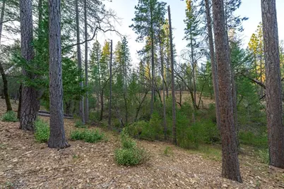 1355 E Weimar Cross Road, Colfax, CA 95713 - Photo 23