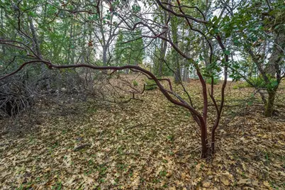 1355 E Weimar Cross Road, Colfax, CA 95713 - Photo 17