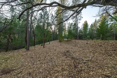 1355 E Weimar Cross Road, Colfax, CA 95713 - Photo 21