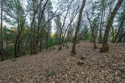 1355 E Weimar Cross Road, Colfax, CA 95713 - Photo 27