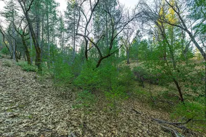 1355 E Weimar Cross Road, Colfax, CA 95713 - Photo 15