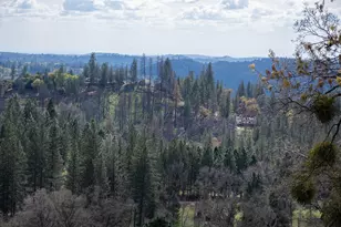 2344 Four Springs Trail, Placerville, CA 95667 - Photo 91