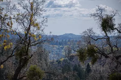 2344 Four Springs Trail, Placerville, CA 95667 - Photo 87