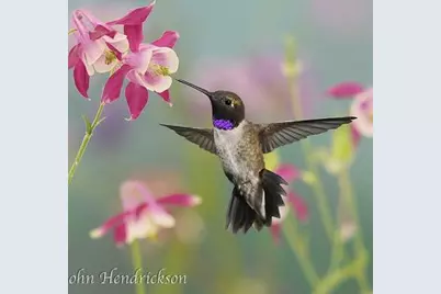 11306 Winding Way, Clipper Mills, CA 95930 - Photo 65