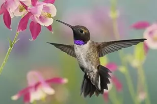 11306 Winding Way, Clipper Mills, CA 95930 - Photo 65