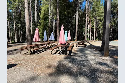 11306 Winding Way, Clipper Mills, CA 95930 - Photo 77