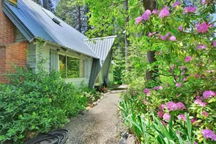 11306 Winding Way, Clipper Mills, CA 95930 - Photo 3