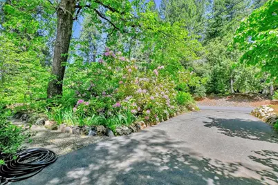 11306 Winding Way, Clipper Mills, CA 95930 - Photo 53