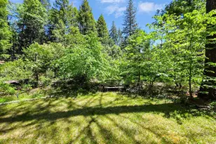 11306 Winding Way, Clipper Mills, CA 95930 - Photo 63