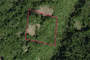 6255 Rancho Sequoia Dr, Alderpoint, CA 95511 - Photo 1