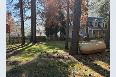 27076 Silver Drive, Pioneer, CA 95666 - Photo 9