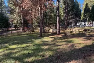 27076 Silver Dr, Pioneer, CA 95666 - Photo 15