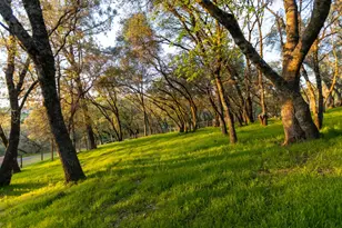 2045 Toscana Pl, Auburn, CA 95603 - Photo 57