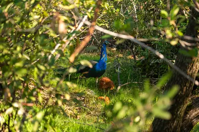 16175 Mackinaw Way, Grass Valley, CA 95949 - Photo 27
