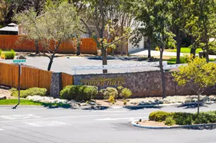 239 Pheasant Run Dr, Copperopolis, CA 95228 - Photo 39