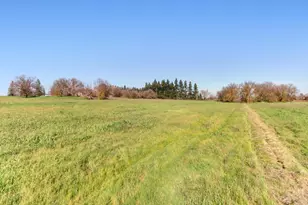 12412 Plum Ln, Wilton, CA 95693 - Photo 37