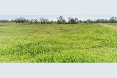 12412 Plum Lane, Wilton, CA 95693 - Photo 39