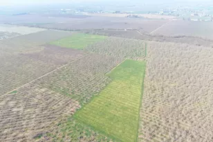 12255 E 8 Mile Rd, Stockton, CA 95212 - Photo 1