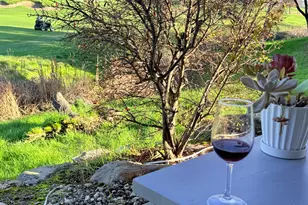 73 Quail Hollow Ln, Copperopolis, CA 95228 - Photo 77