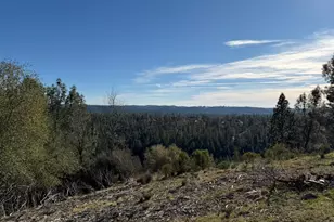 3200 1 Eye Creek Rd, Placerville, CA 95667 - Photo 1