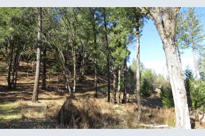 0 N. Canyon Way / Iowa Hill Rd, Colfax, CA 95713 - Photo 37